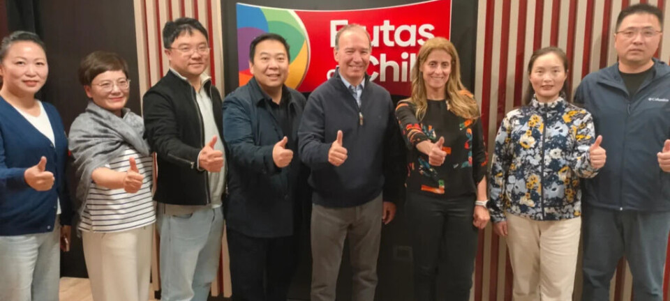 Frutas de Chile se reunió con la Cámara de Comercio Internacional de Shanghai
