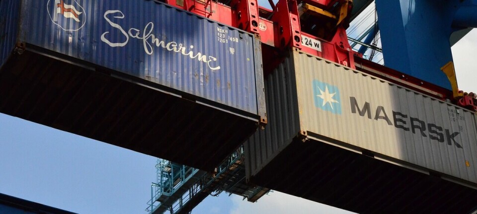 Informe de Camport señaló que comercio exterior chileno mantuvo su valor durante 2024