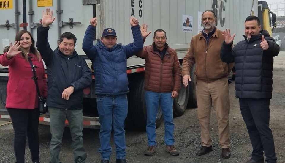 Los productores y exportadores de castañas de la región del Ñuble.
