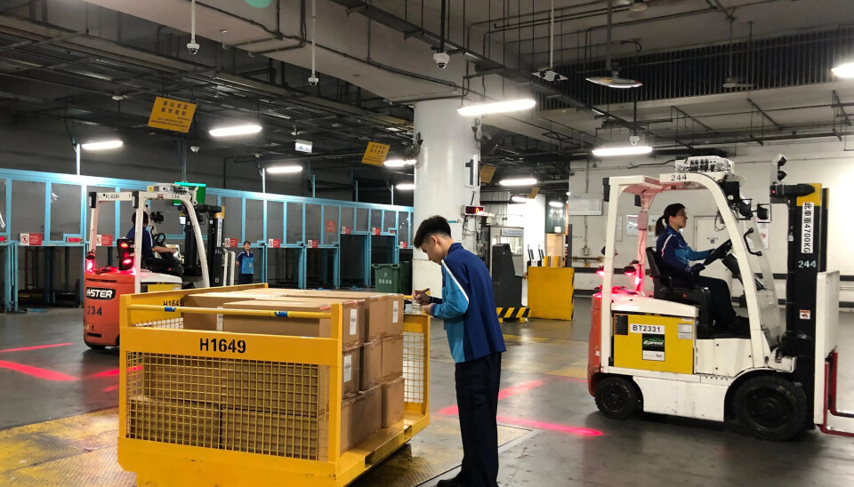 El proyecto entró en su segunda fase de implementación.