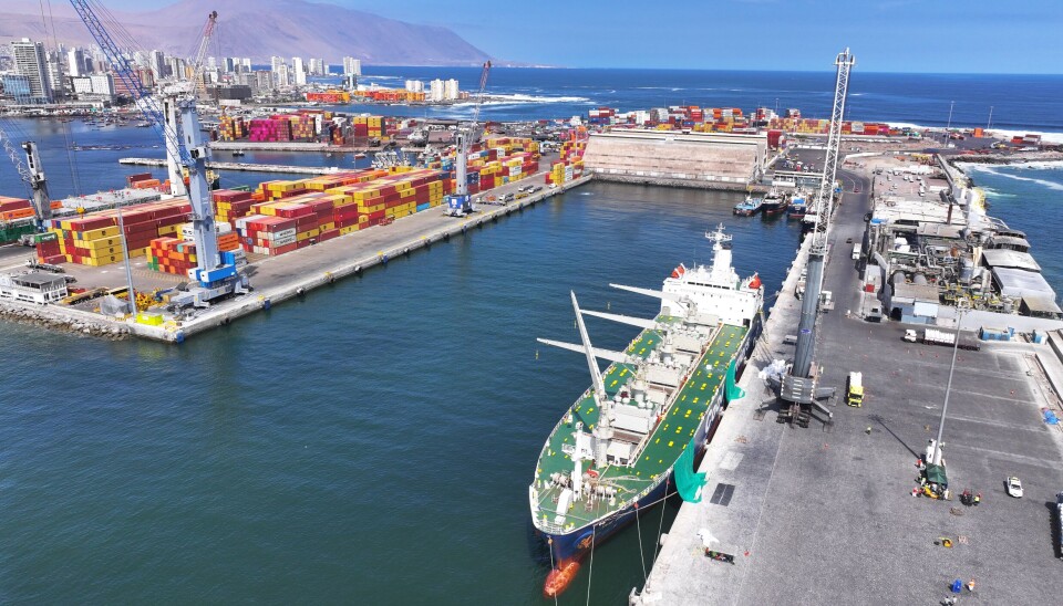 Fueron más de 280 mil toneladas movilizadas en el puerto.