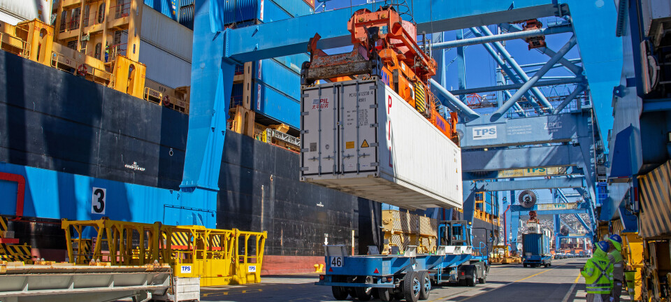 Cerezas y uvas lideraron las transferencias de fruta a través de TPS en la temporada 2024-2025