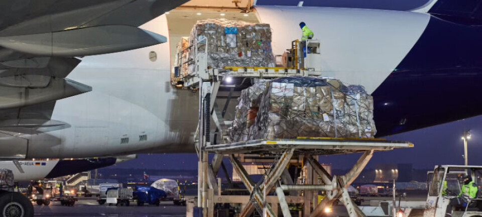 Lufthansa Cargo anunció que comercializará y gestionará la capacidad de carga de ITA Airways