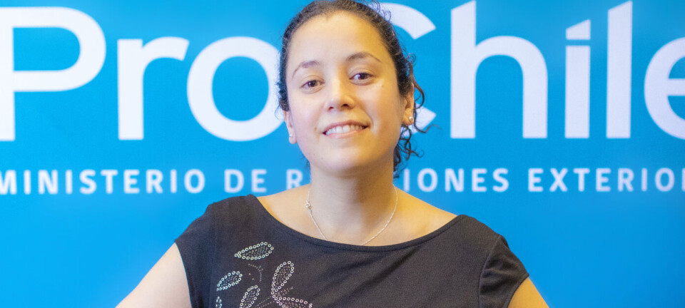 Antofagasta en Osaka: Una vitrina global para la innovación local