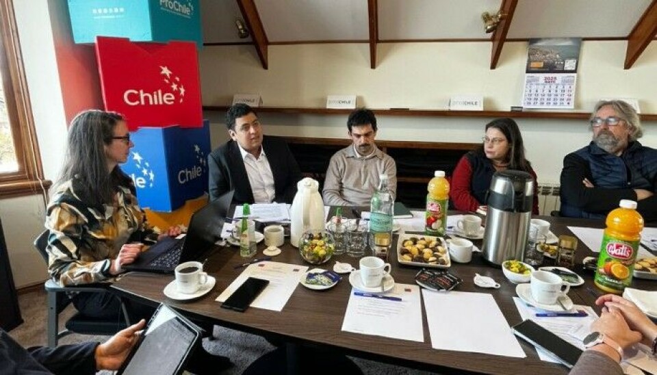 Integrantes de la Mesa Comercio Exterior regional en Magallanes.