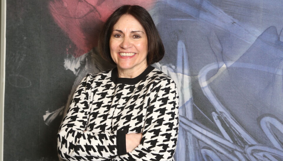 Yerka Yukich, Directora ejecutiva e-Commerce en CCS.