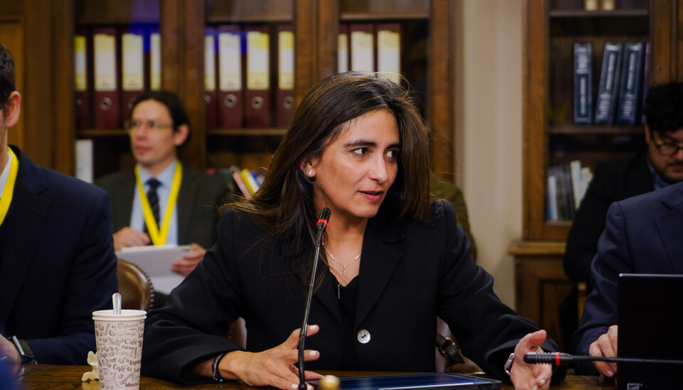 Claudia Sanhueza, subsecretaria de Relaciones Económicas Internacionales.