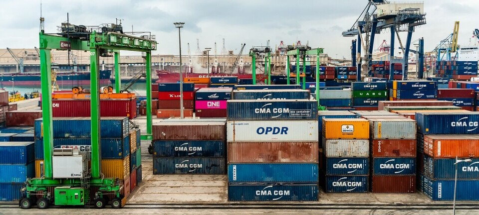 Exportaciones no cobre no litio crecen y destaca el aporte de sectores como Pesca y Acuicultura