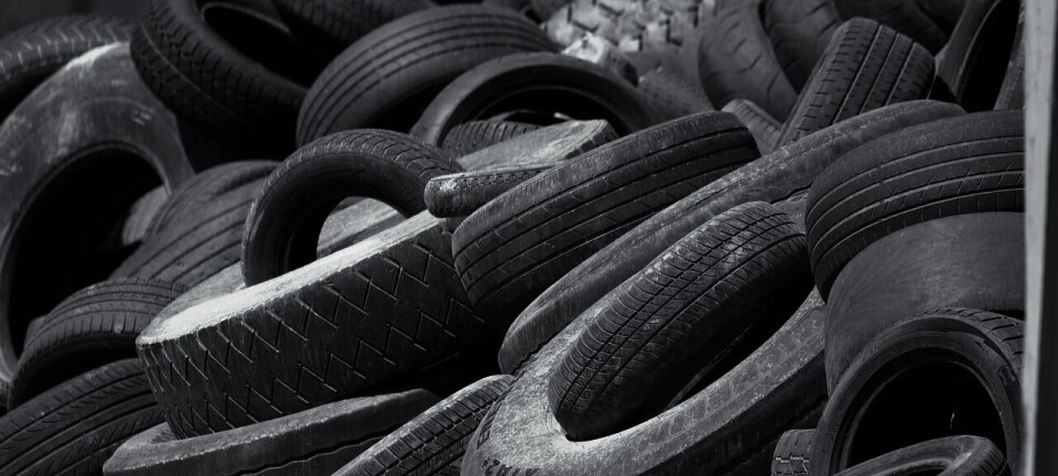 Ley REP: Conoce los avances y desafíos de la logística sostenible y economía circular en Chile