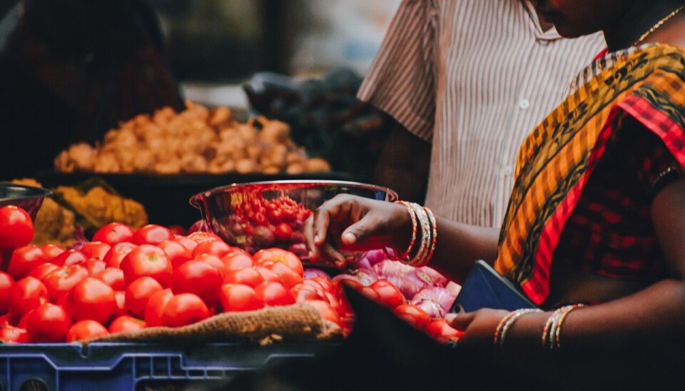 Cada vez es más importante el mercado indio para los envíos nacionales.