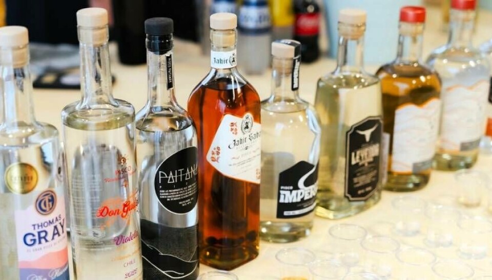 Fueron cinco productores que consiguieron sus primero envíos.