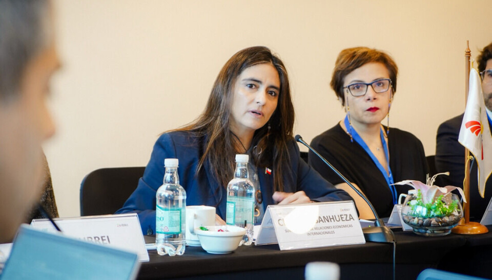 Claudia Sanhueza, subsecretaria de Relaciones Económicas Internacionales.