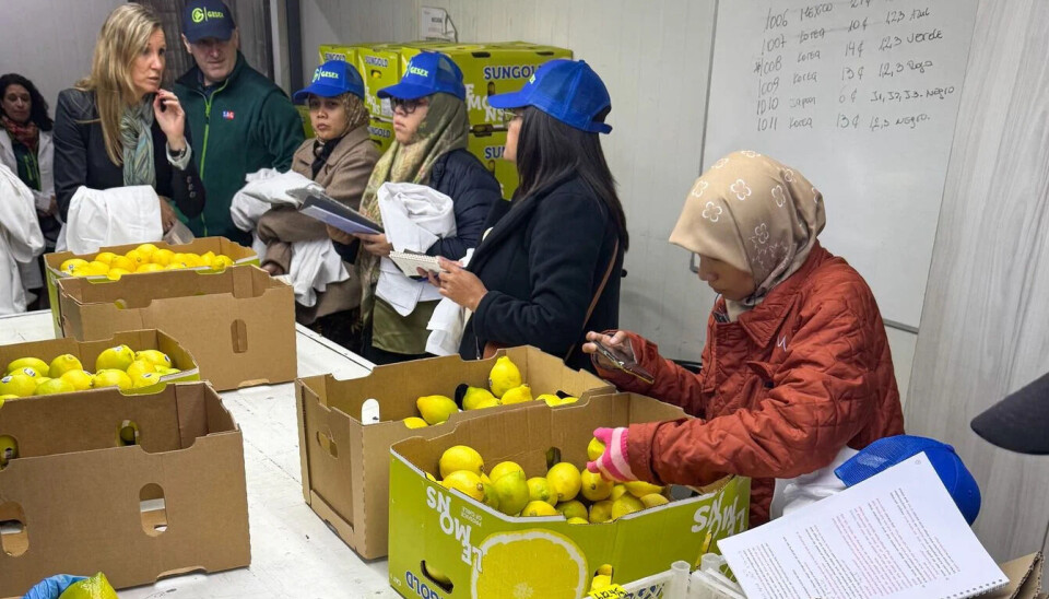 Delegación de IQA en su recorrido por instalaciones nacionales.