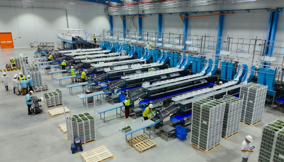 La instalación integra funciones logísticas esenciales para la actividad exportadora.
