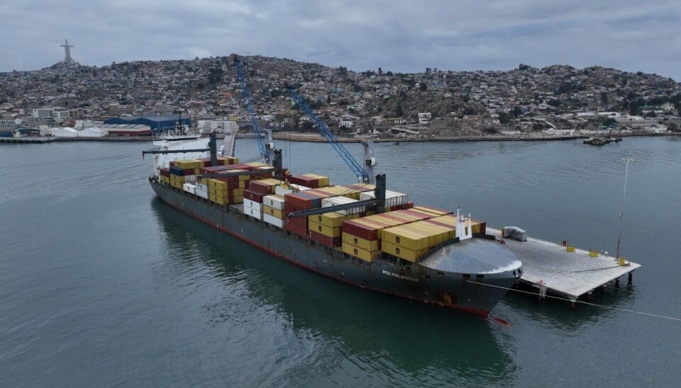 Coquimbo aparece como la mejor opción para exportadores del sur de Argentina.
