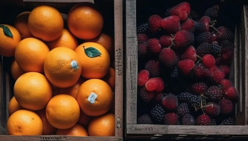 Las frutas se verían afectadas por esta alza arancelaria del 15% al 20% anunciada.