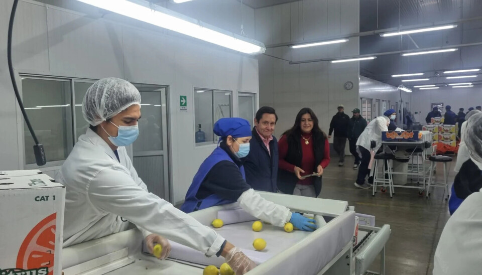 El nuevo sitio permitirá aumentar la capacidad de inspección.