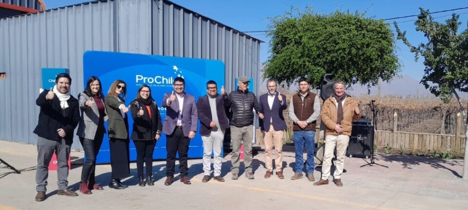 ProChile lanza Concurso Silvoagropecuario 2026 con un fondo de 1.500 millones de pesos