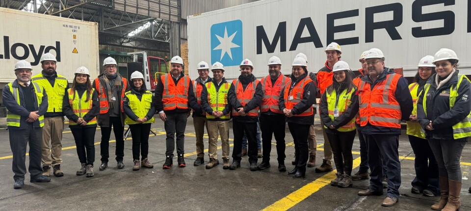 Tren retoma protagonismo: Conectan Frutillar con SVTI para envío de salmón al exterior