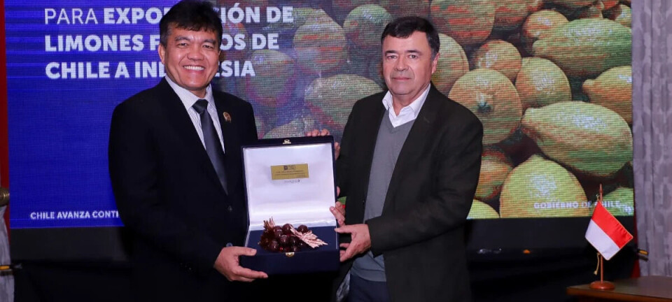 Chile abre mercado de Indonesia para limones frescos y refuerza su estrategia de diversificación