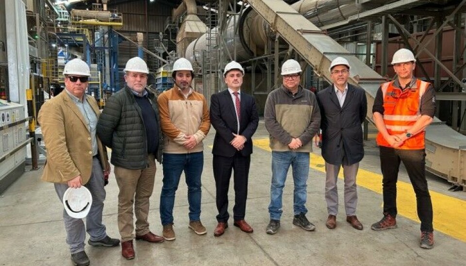Ejecutivos de ProChile visitaron la planta de Forestal Río Claro.