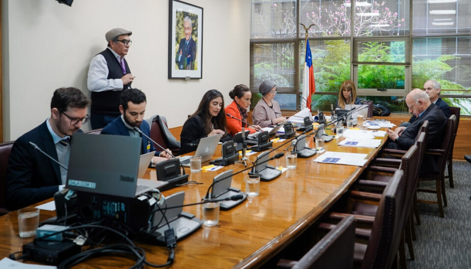 La subsecretaria Claudia Sanhueza en la sesión de la comisión en el Senado.
