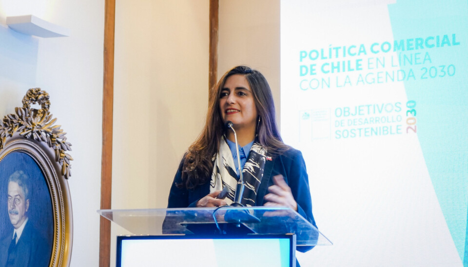 Claudia Sanhueza, subsecretaria de Relaciones Económicas Internacionales.