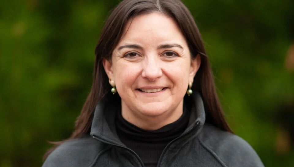 Macarena Pons, nueva gerente general de Chilenut.
