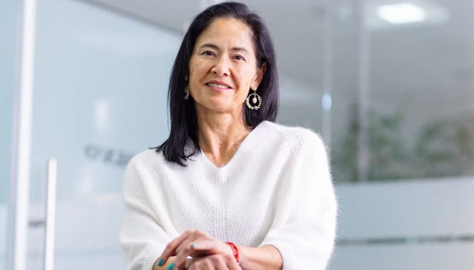 Pilar Ugarte cuenta con más de 15 años de experiencia en posiciones de liderazgo.