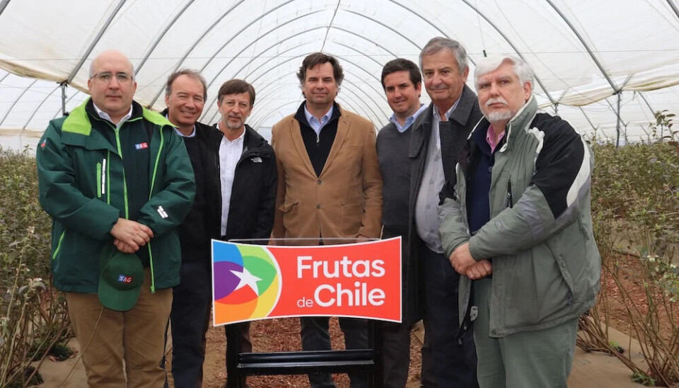 La industria chilena del arándano inauguró oficialmente su temporada 2025-26.