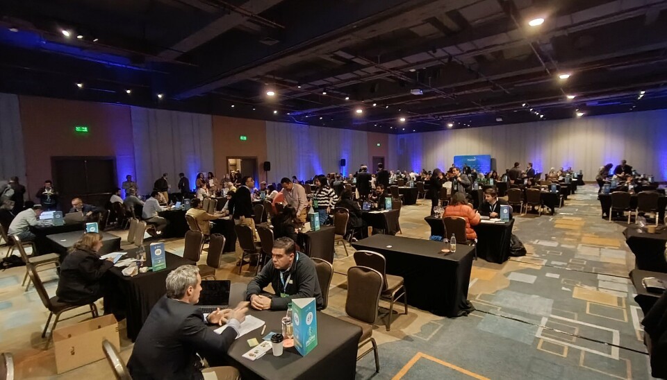 Participantes de las jornadas de networking de ENEXPRO.