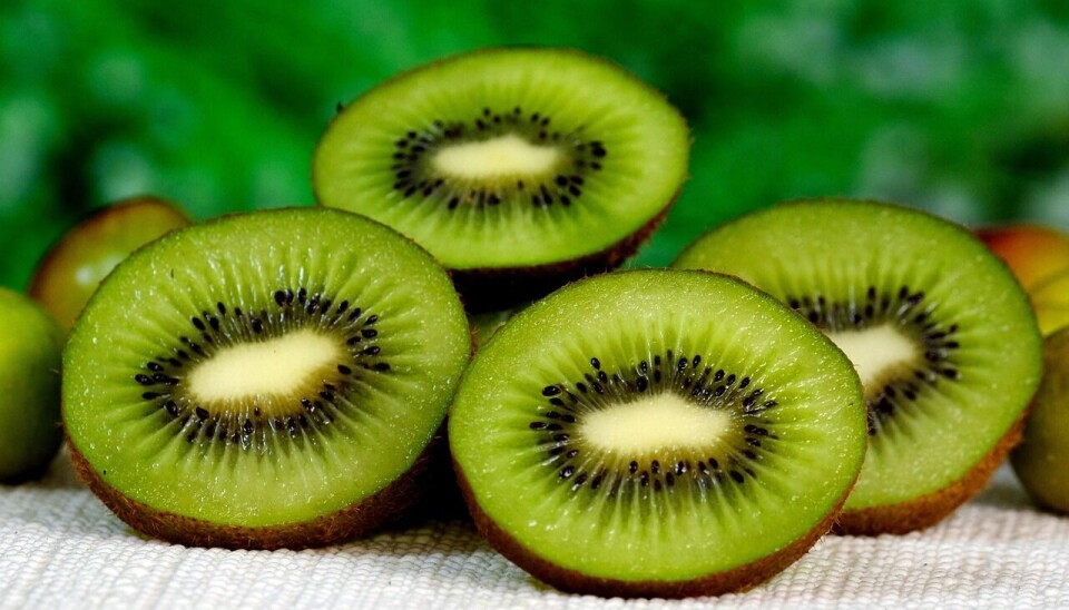 Estados Unidos fue el principal mercado de las exportaciones de kiwi.