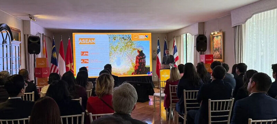 Fruta chilena busca ampliar mercado en ASEAN con misión comercial