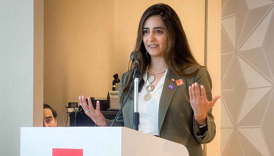 Claudia Sanhueza, subsecretaria de Relaciones Económicas Internacionales.