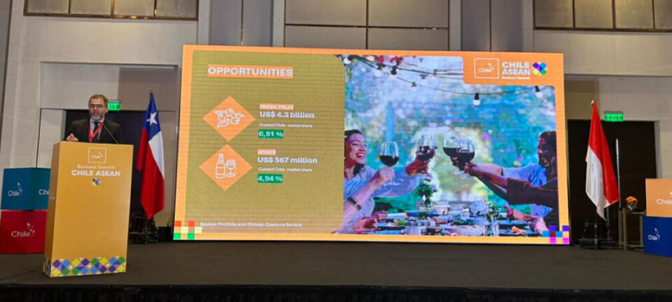 Encuentro Chile-ASEAN proyecta oferta exportadora chilena hacia el Sudeste Asiático
