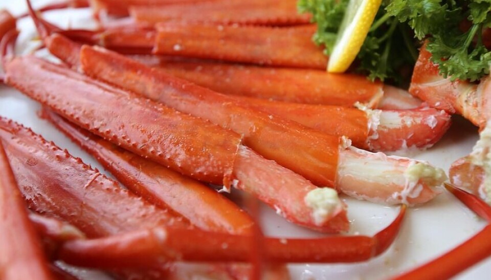 Las exportaciones de productos del mar de Magallanes han crecido un 21,3%.