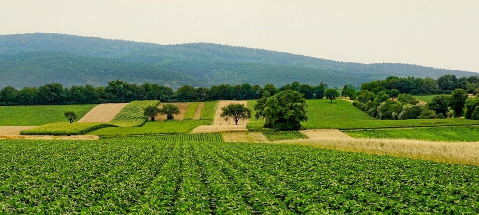 El agro chileno se posiciona como proveedor competitivo en mercados globales