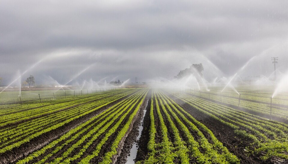 El objetivo es buscar sistemas agroalimentarios transparentes, sostenibles y resilientes.