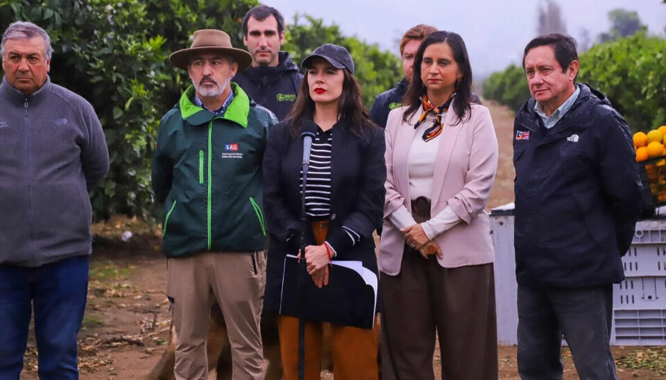 La Ministra de la Secretaria General de Gobierno, Camila Vallejo, destacó la apertura.