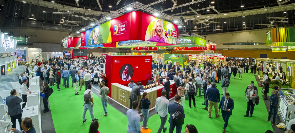 Exportaciones chilenas de frutas a Europa crecen 22% y superan las 500 mil toneladas