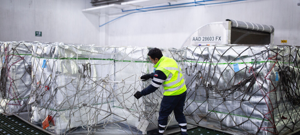 Temporada de exportación frutícola inicia con foco en eficiencia y cadena de frío