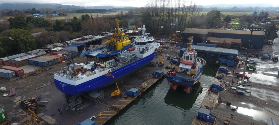 ASENAV repara en solo 7 días el wellboat más grande de Naviera Orca
