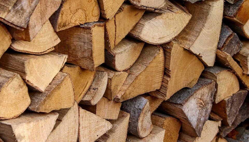 Una Pyme forestal exportadora de maderas tiene poco poder financiero.