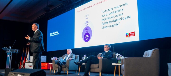 Frutas y salmón: Pilares exportadores que marcan la ruta logística de Chile