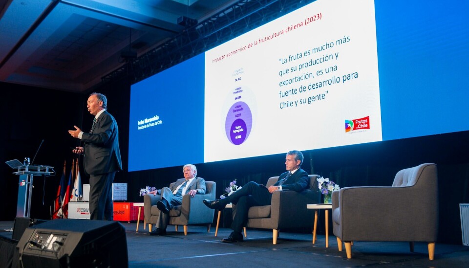 El presidente de Frutas de Chile, Iván Marambio, durante su exposición en el seminario.