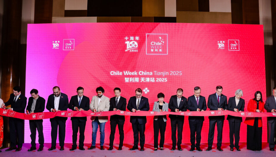 A través de este tipo de eventos se busca fortalecer la colaboración entre Chile y China.