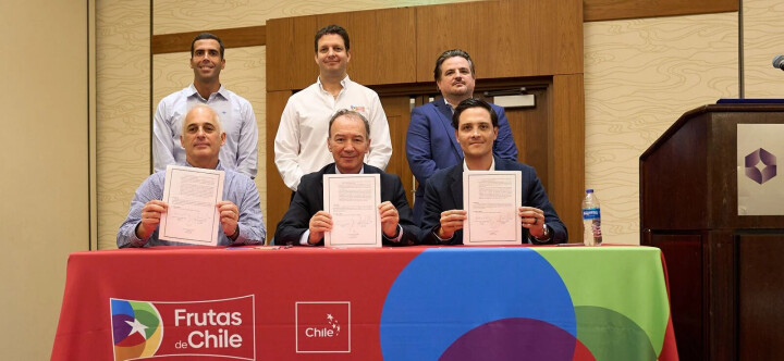 Chile, Perú y México lanzan alianza global para impulsar la uva de mesa