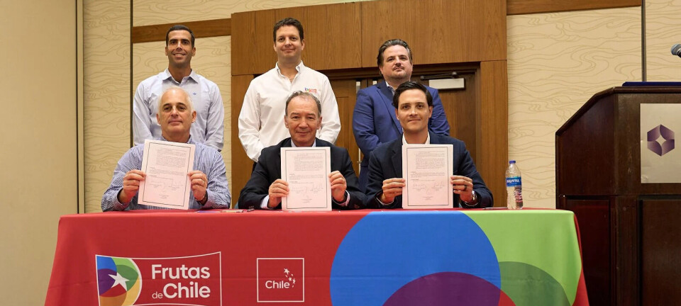 Chile, Perú y México lanzan alianza global para impulsar la uva de mesa