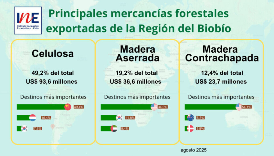 La caída del 37,3% se explicó principalmente por la disminución en la exportación de celulosa.