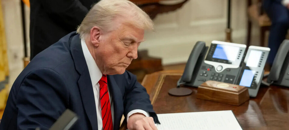 Nicaragua: Posibilidad de aranceles de EE. UU. podrían afectar exportaciones